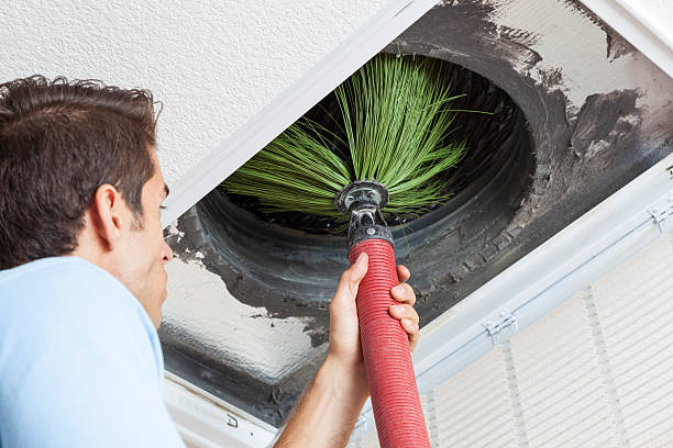 Best Professional Duct Cleaning Services  in Wartburg, TN